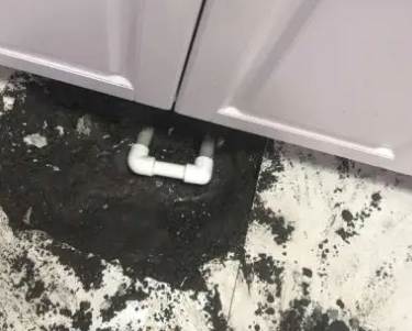 新民查漏水哪家好